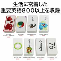 【特典付】 英語 フラッシュカード 750枚セット | 英語伝 EIGODEN